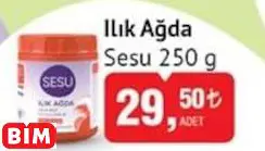SESU ILIK AĞDA